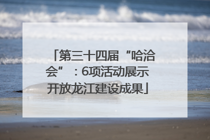 第三十四届“哈洽会”：6项活动展示开放龙江建设成果